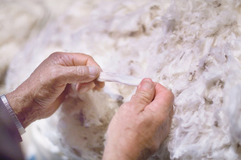 How to Wash Wool Socks to Increase Wear and Longevity